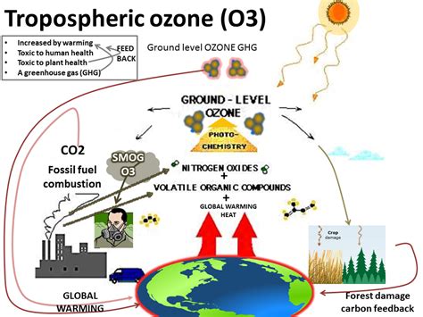 What is tropospheric ozone? ~ Climate change