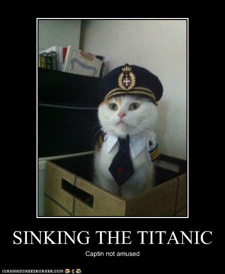 Cat VS Titanic - Titanic Photo (30611934) - Fanpop