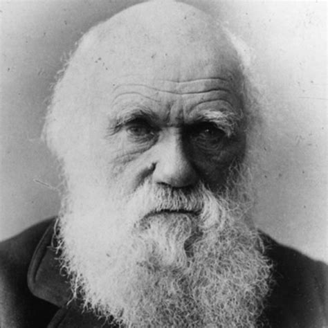 Darwin – Why We Became Human