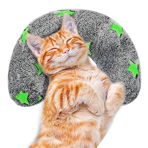 13 Amazing Cat Neck Pillow for 2023 | TouristSecrets