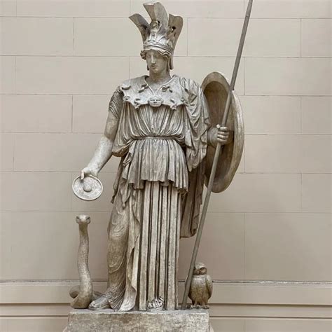 Athena Symbol Guide: Complete List of All Her Symbols