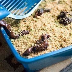 Kitty Litter Cake Recipe - Allrecipes.com