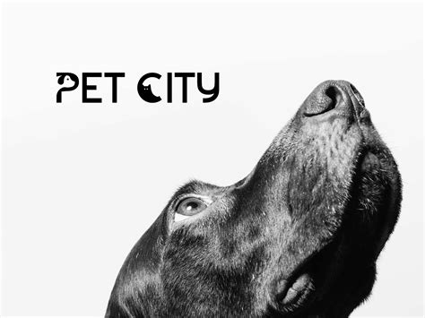 Pet City | Behance