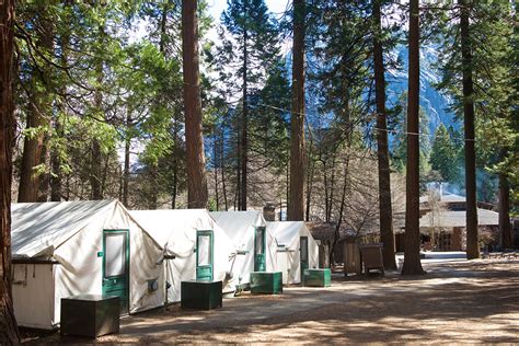 Curry Village in Yosemite National Park CA | TravelYosemite.com