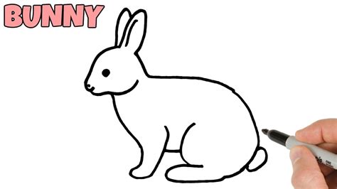 How to Draw a Rabbit Bunny easy step by step | Hare Drawing for beginners