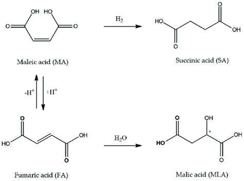 Reaction pathways in hydrogenation of maleic acid in water. | Download Scientific Diagram