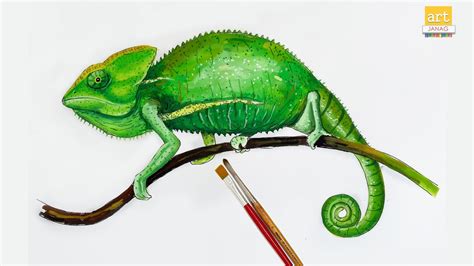 Realistic Chameleon Drawing