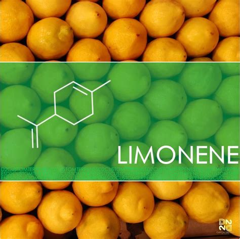 Limonene | D2 CUSTOM TERPENES- LOS ANGELES