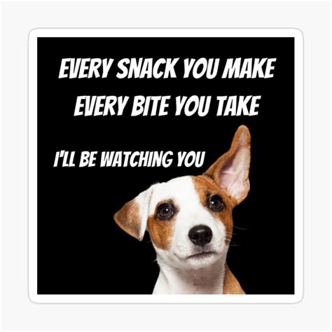 Dog Sublimation Designs Downloads,funny Sublimation Download,digital ...