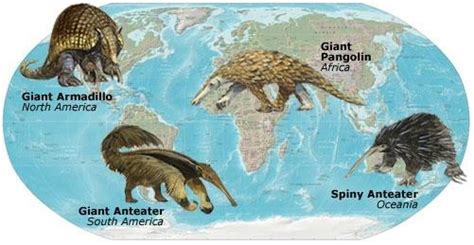 Biogeography - Evidence for Evolution - Biology 3.5