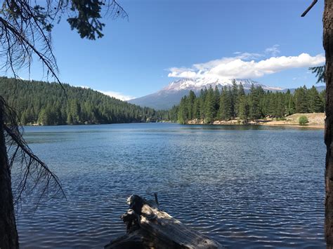 Lake Siskiyou Camp Resort | The Dyrt