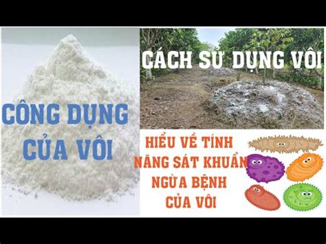 Nông dân cần biết-lợi ích của vôi và cách sử dụng vôi hiệu quả, hiểu về tính năng sát khuẩn của ...