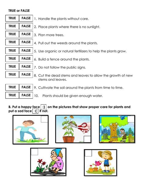 Caring for Plants Worksheet