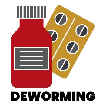 Deworming Donation | Animal Rescue Foundation (ARF)