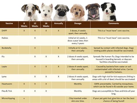 Printable Dog Vaccination Schedule Chart Pdf