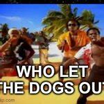 Who let the dogs out Meme Generator - Imgflip