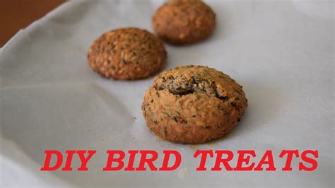 How To Make HEALTHY Homemade Bird Treats! DIY VERY EASY For All Birds - YouTube