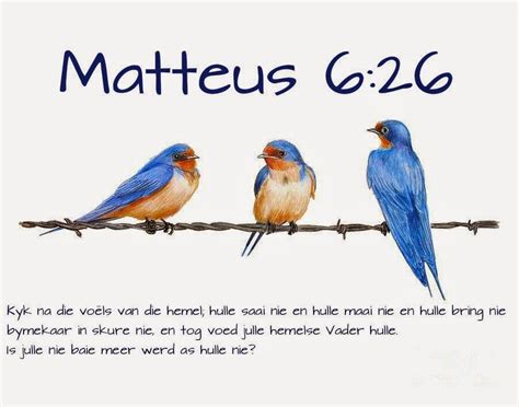 Afrikaanse Inspirerende Gedagtes & Wyshede: Matteus 6:26 | MOOI BYBEL VERSE | Pinterest ...