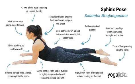 Sphinx Pose (Salamba Bhujangasana)