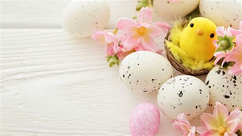 Easter Chiks Wallpapers - Wallpaper Cave