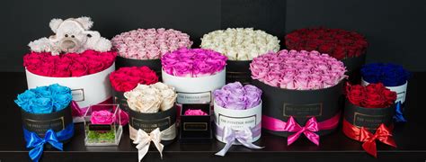 Cajas de Rosas Eternas y Frescas Naturales, flores a domicilio. - Floristeria Lujo de Caja de ...