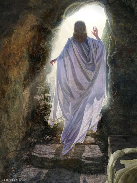 Images Du Christ, Pictures Of Jesus Christ, Jesus Images, Easter Images ...