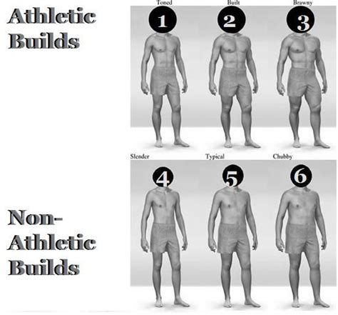 Male Body Types Chart