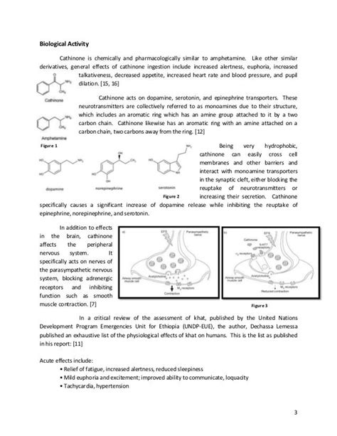 Cathinone history, synthesis, and human applications