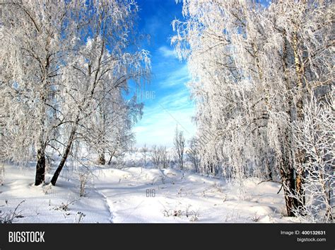 Clear Winter Day. Image & Photo (Free Trial) | Bigstock