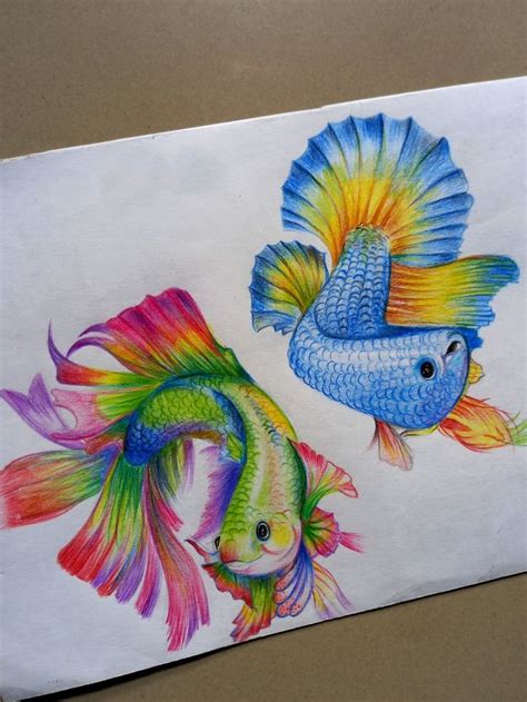 Fish drawing | Fish drawings, Coloring book art, Colorful drawings