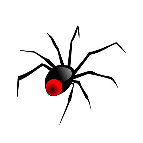 Redback Spider PNG, SVG Clip art for Web - Download Clip Art, PNG Icon Arts