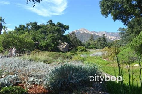 10 BEST Attractions at Santa Barbara Botanic Garden - CityBOP