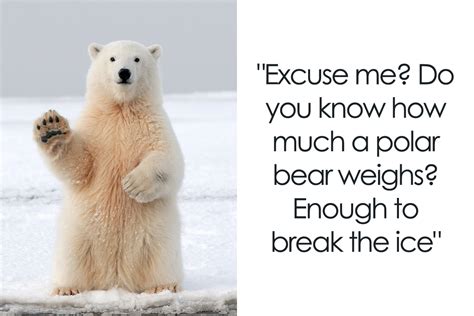 120 Icebreakers That Never Fail The Task | Bored Panda