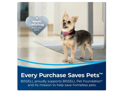 BISSELL Pet Stain Eraser Duo