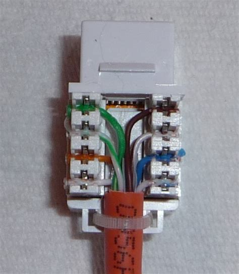 Cat6e Plug Wiring Diagram