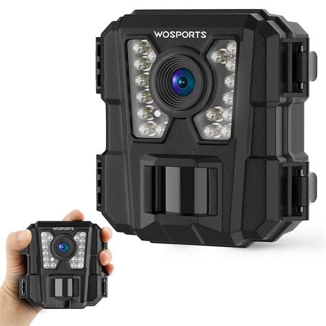 night vision wildlife camera – Wosports