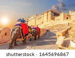 Man Riding an Elephant in Jaipur, India image - Free stock photo - Public Domain photo - CC0 Images