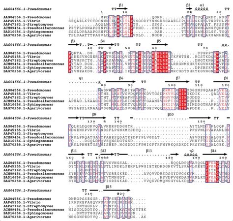 Alginate lyase: Review of major sources and classification, properties, structure-function ...