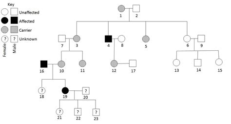 Autosomal Recessive Inheritance Pedigree