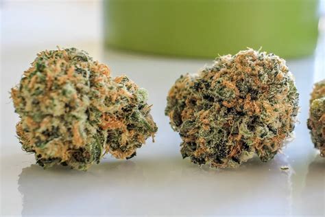 The Top 10 Cannabis Strains Of 2023 - Hydro Green Shop