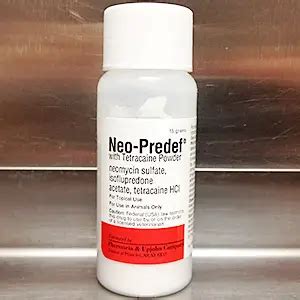 Does Neo Predef Powder Improve Your Rabbit's Condition? | Here Bunny