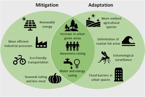 Climate Change Adaptation vs Mitigation: What's the Difference