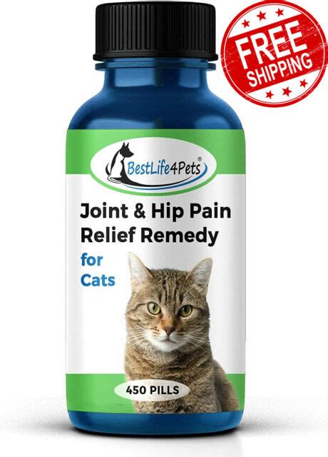 CAT JOINT & ARTHRITIS PAIN RELIEF Powerful Anti-inflammatory Natural Remedy | eBay