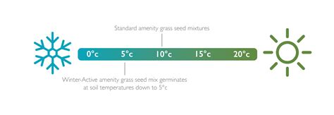 Winter-Active Grass Seed - RMB Hydroseeding