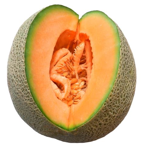 Melon PNG