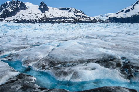 Visiting the Juneau Icefield and Mendenhall Glacier on an Alaska Cruise