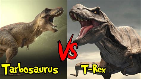 T Rex vs Tarbosaurus | कौन जीतेगा T-Rex और Tarbosaurus की लड़ाई मे - YouTube