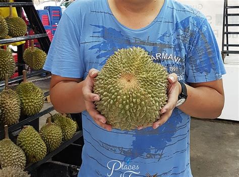 Durian Duri Hitam (Ochee) Apa Saja Keunggulan Dan Karakteristiknya