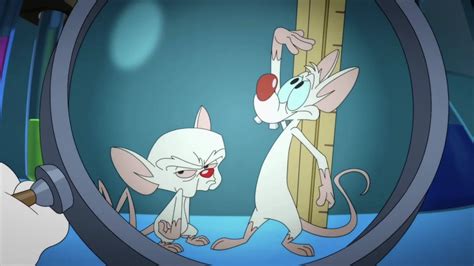 Favorite Pinky and The Brain Episode from the 2020 reboot? | Fandom