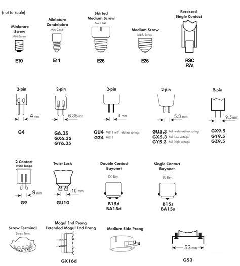 Halogen Light Bulb Base Visual Guide | Light bulb bases, Christmas light bulbs, Light bulb